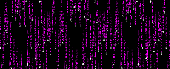 An animated gif of purple lines of code falling down the screen.